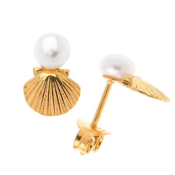 Earrings silver 925o shells with a pearl